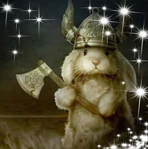 Meet your Posher, Sally